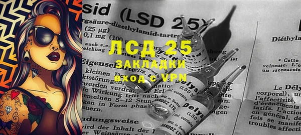 ГАЛЛЮЦИНОГЕННЫЕ ГРИБЫ Алзамай