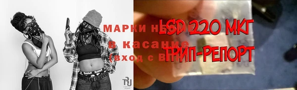 ГАЛЛЮЦИНОГЕННЫЕ ГРИБЫ Алзамай